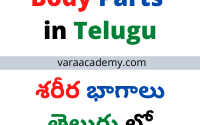 Animals Names in Telugu | Learn Telugu | Telugu Words - 2